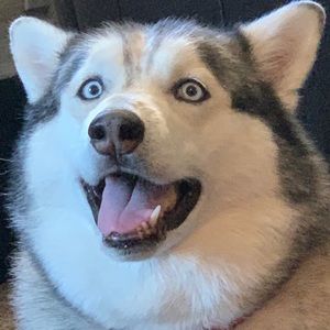 Meet your Posher, Jackie